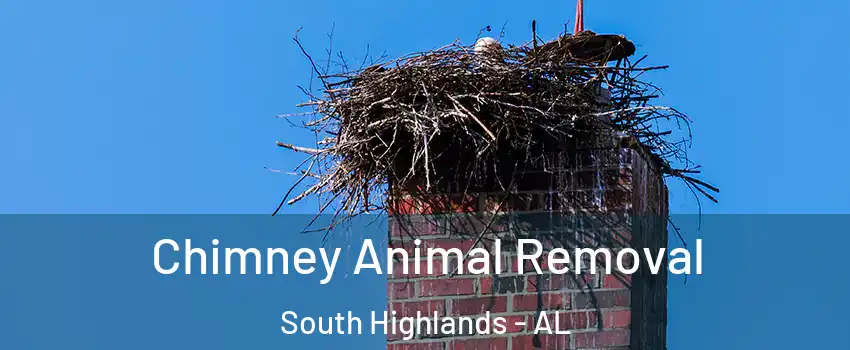 Chimney Animal Removal South Highlands - AL