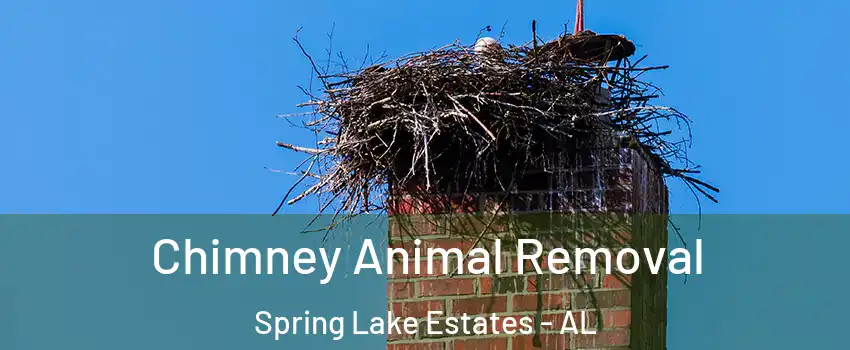 Chimney Animal Removal Spring Lake Estates - AL