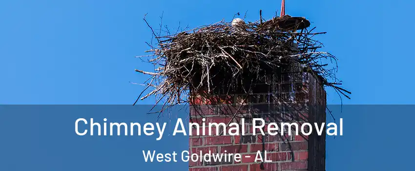 Chimney Animal Removal West Goldwire - AL