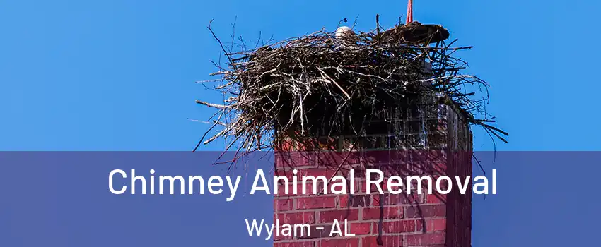 Chimney Animal Removal Wylam - AL