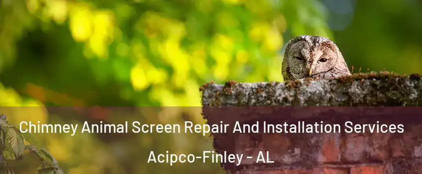 Chimney Animal Screen Repair And Installation Services Acipco-Finley - AL