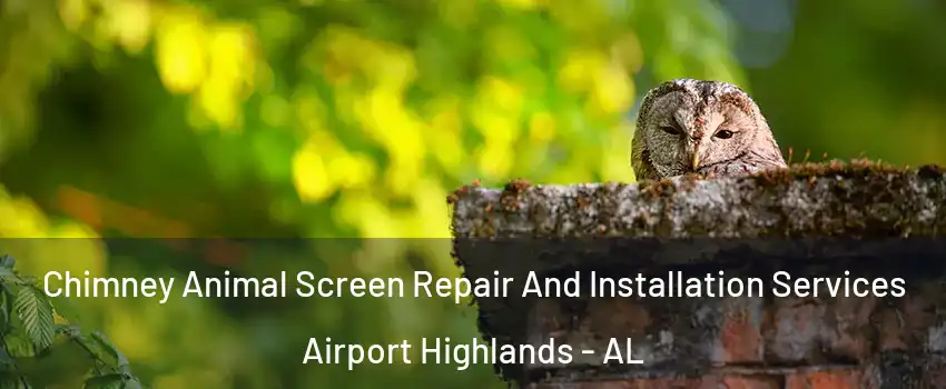 Chimney Animal Screen Repair And Installation Services Airport Highlands - AL