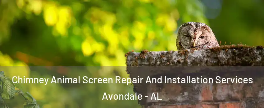 Chimney Animal Screen Repair And Installation Services Avondale - AL
