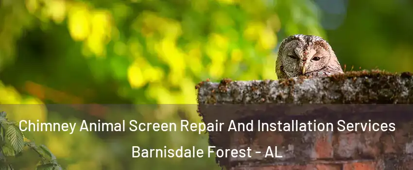 Chimney Animal Screen Repair And Installation Services Barnisdale Forest - AL