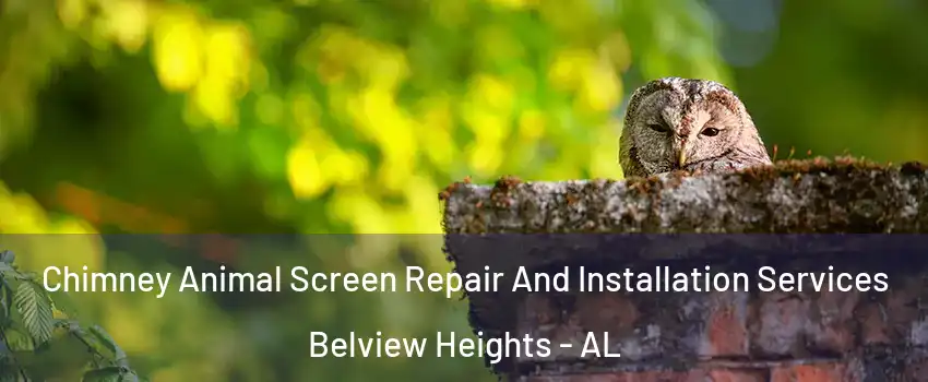 Chimney Animal Screen Repair And Installation Services Belview Heights - AL