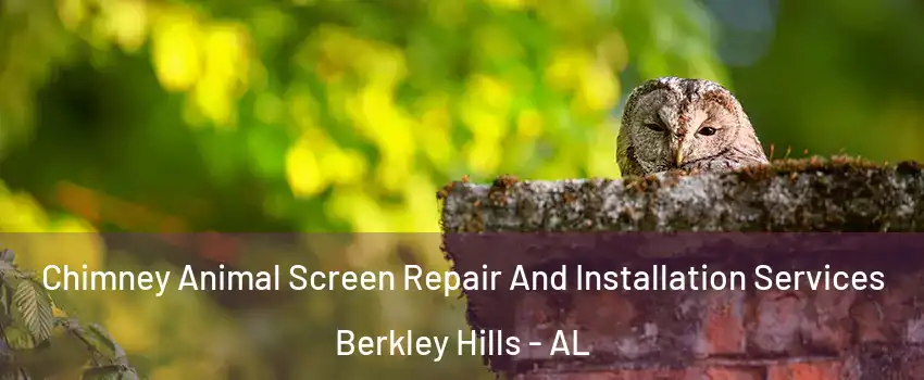 Chimney Animal Screen Repair And Installation Services Berkley Hills - AL