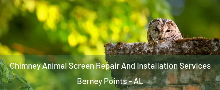 Chimney Animal Screen Repair And Installation Services Berney Points - AL