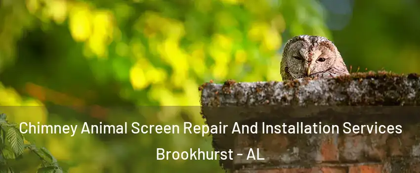 Chimney Animal Screen Repair And Installation Services Brookhurst - AL