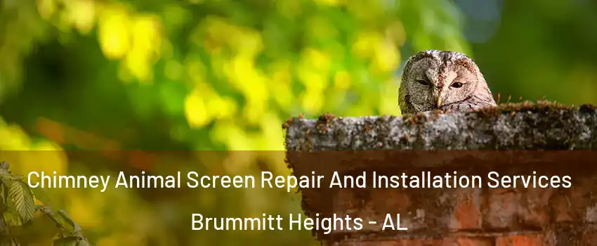 Chimney Animal Screen Repair And Installation Services Brummitt Heights - AL