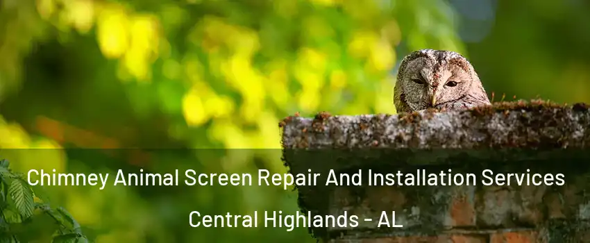 Chimney Animal Screen Repair And Installation Services Central Highlands - AL