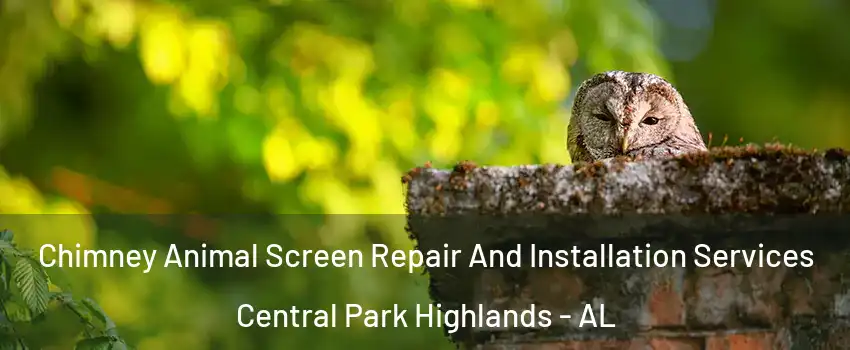 Chimney Animal Screen Repair And Installation Services Central Park Highlands - AL