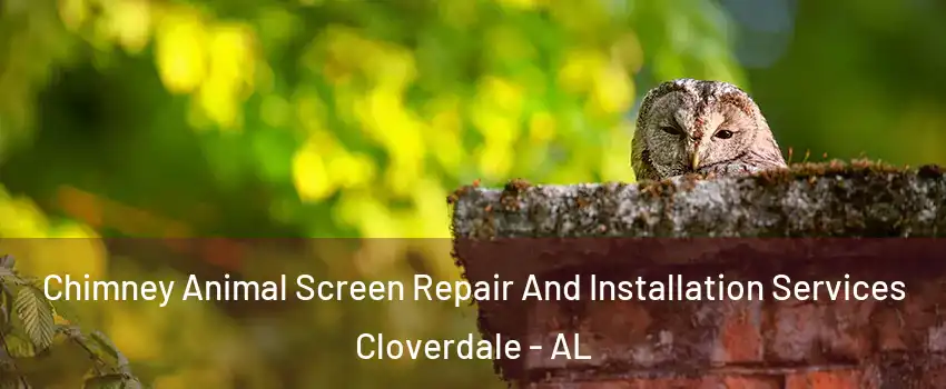 Chimney Animal Screen Repair And Installation Services Cloverdale - AL