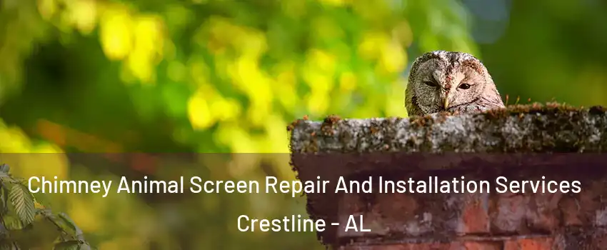 Chimney Animal Screen Repair And Installation Services Crestline - AL