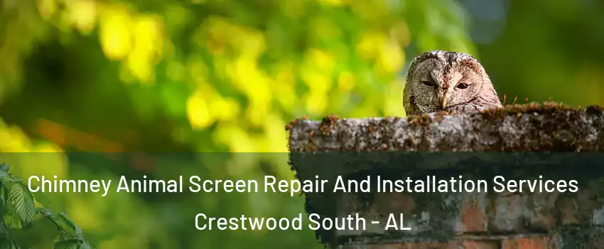 Chimney Animal Screen Repair And Installation Services Crestwood South - AL