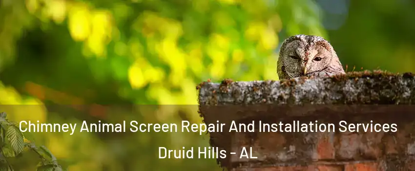 Chimney Animal Screen Repair And Installation Services Druid Hills - AL