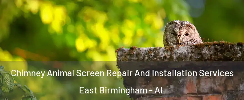 Chimney Animal Screen Repair And Installation Services East Birmingham - AL