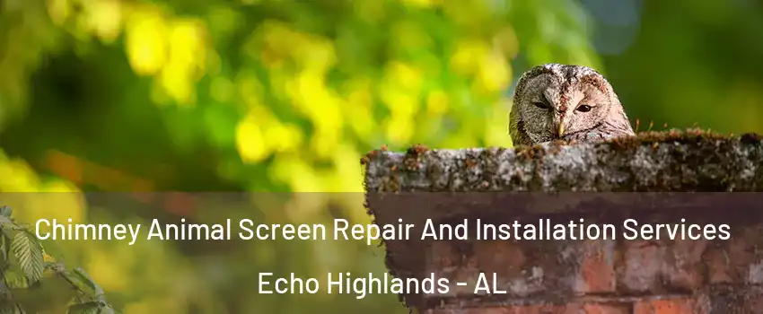 Chimney Animal Screen Repair And Installation Services Echo Highlands - AL