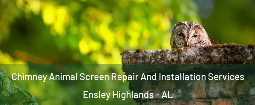 Chimney Animal Screen Repair And Installation Services Ensley Highlands - AL