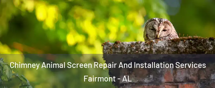Chimney Animal Screen Repair And Installation Services Fairmont - AL