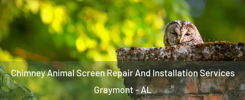 Chimney Animal Screen Repair And Installation Services Graymont - AL