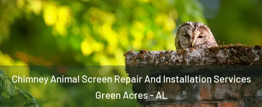 Chimney Animal Screen Repair And Installation Services Green Acres - AL