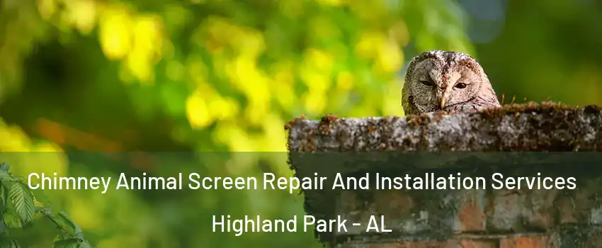 Chimney Animal Screen Repair And Installation Services Highland Park - AL
