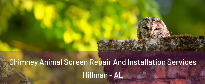 Chimney Animal Screen Repair And Installation Services Hillman - AL