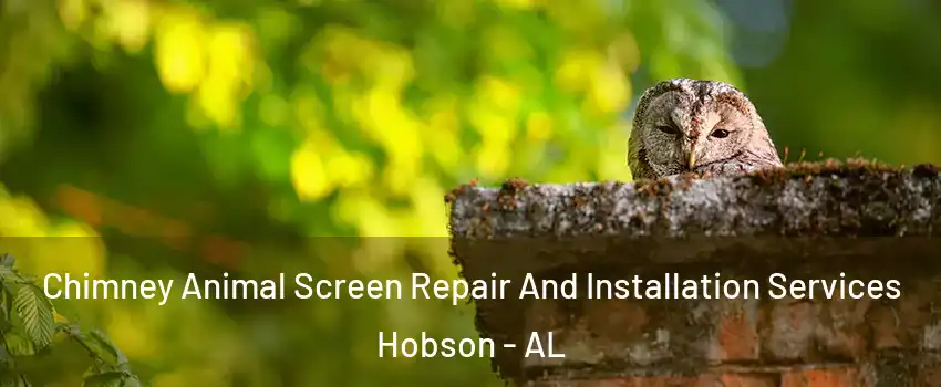 Chimney Animal Screen Repair And Installation Services Hobson - AL