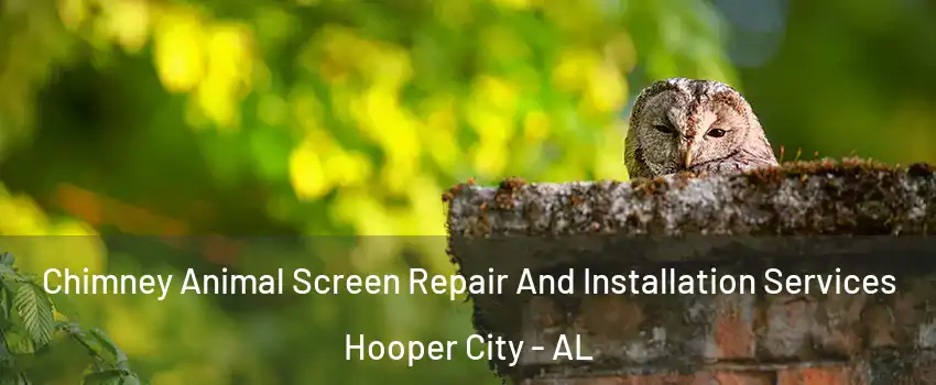Chimney Animal Screen Repair And Installation Services Hooper City - AL