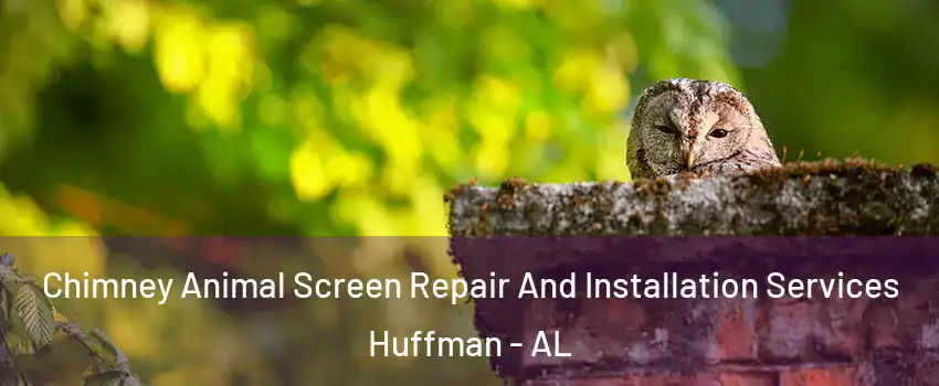 Chimney Animal Screen Repair And Installation Services Huffman - AL