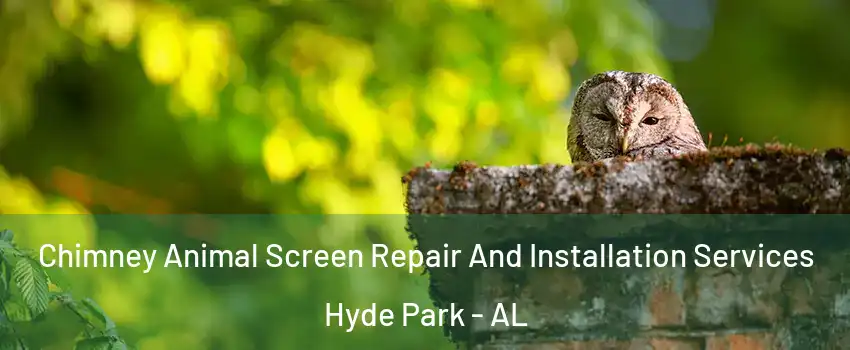 Chimney Animal Screen Repair And Installation Services Hyde Park - AL