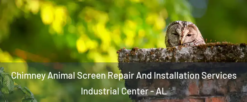 Chimney Animal Screen Repair And Installation Services Industrial Center - AL