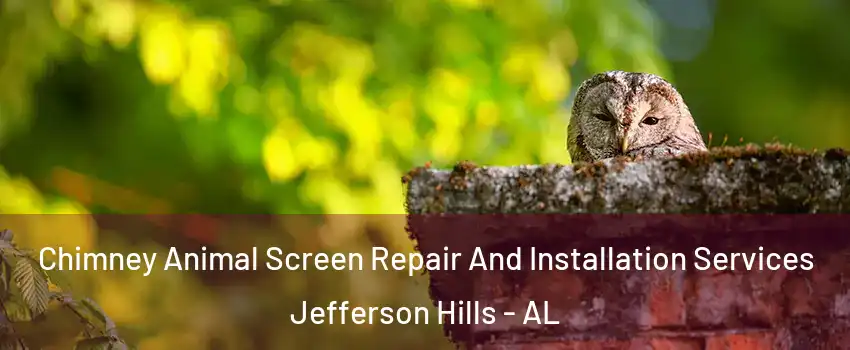 Chimney Animal Screen Repair And Installation Services Jefferson Hills - AL