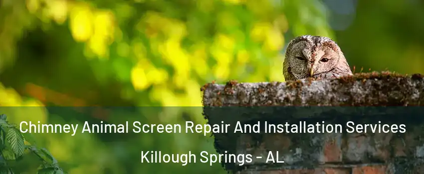 Chimney Animal Screen Repair And Installation Services Killough Springs - AL