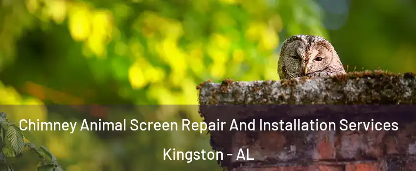 Chimney Animal Screen Repair And Installation Services Kingston - AL