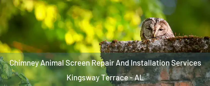 Chimney Animal Screen Repair And Installation Services Kingsway Terrace - AL