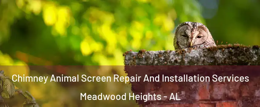 Chimney Animal Screen Repair And Installation Services Meadwood Heights - AL