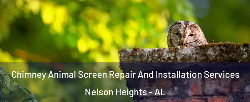 Chimney Animal Screen Repair And Installation Services Nelson Heights - AL
