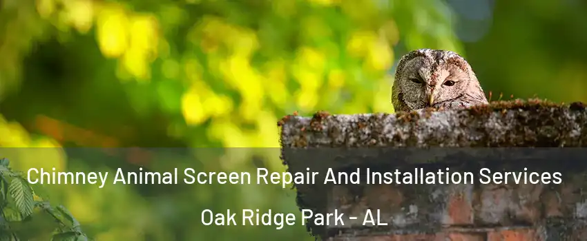 Chimney Animal Screen Repair And Installation Services Oak Ridge Park - AL