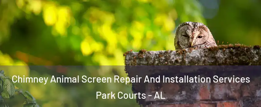 Chimney Animal Screen Repair And Installation Services Park Courts - AL