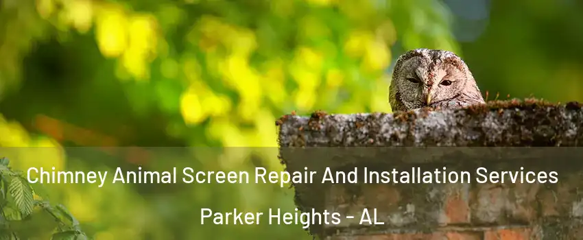 Chimney Animal Screen Repair And Installation Services Parker Heights - AL