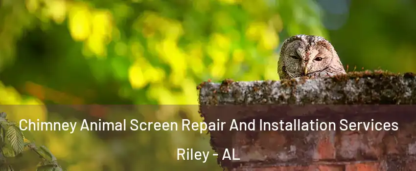 Chimney Animal Screen Repair And Installation Services Riley - AL