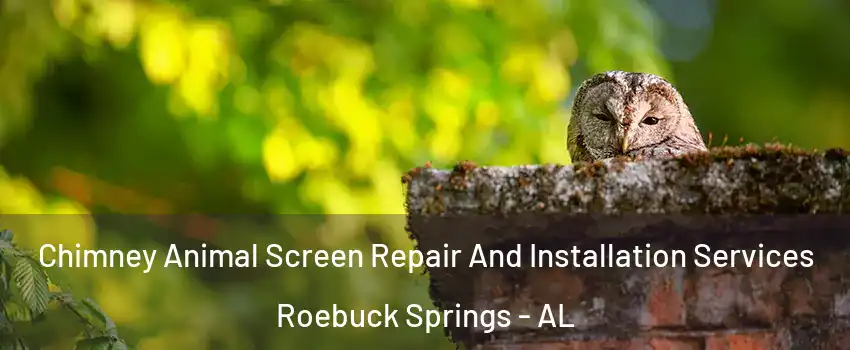 Chimney Animal Screen Repair And Installation Services Roebuck Springs - AL