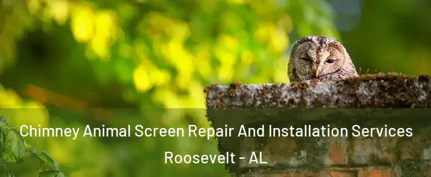 Chimney Animal Screen Repair And Installation Services Roosevelt - AL