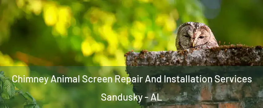 Chimney Animal Screen Repair And Installation Services Sandusky - AL
