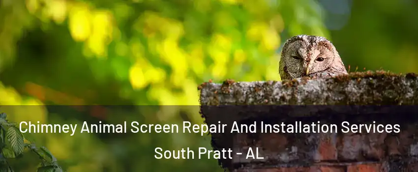 Chimney Animal Screen Repair And Installation Services South Pratt - AL