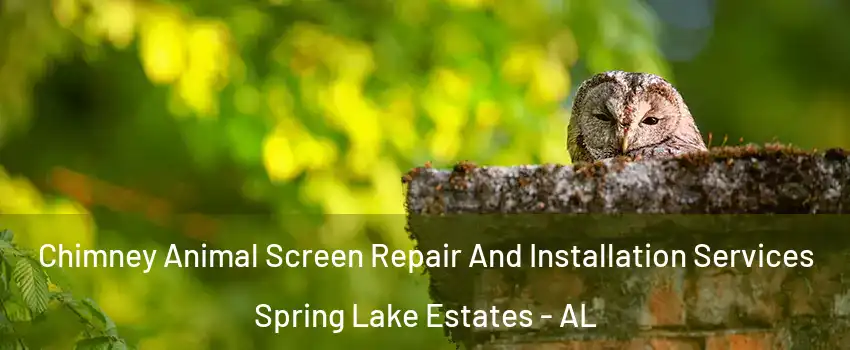 Chimney Animal Screen Repair And Installation Services Spring Lake Estates - AL