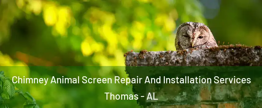 Chimney Animal Screen Repair And Installation Services Thomas - AL