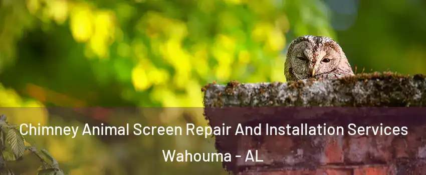 Chimney Animal Screen Repair And Installation Services Wahouma - AL
