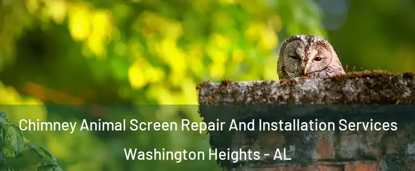Chimney Animal Screen Repair And Installation Services Washington Heights - AL